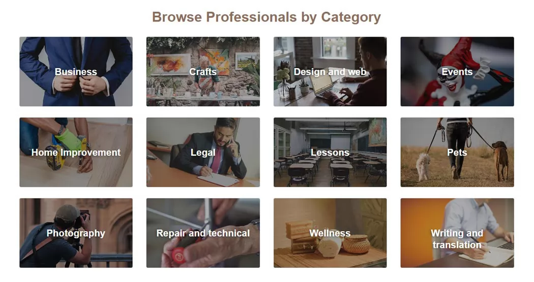 search form and browse the professionals by category or location professionals directory php script